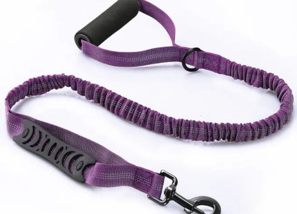 Correa Elástica Extensible Para Perro 120-180 Cm