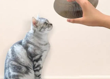 Rascador Para Gatos Deformable