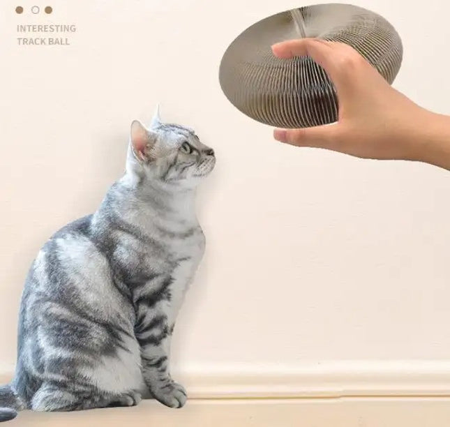 Rascador Para Gatos Deformable
