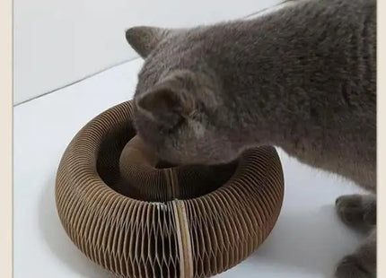 Rascador Para Gatos Deformable