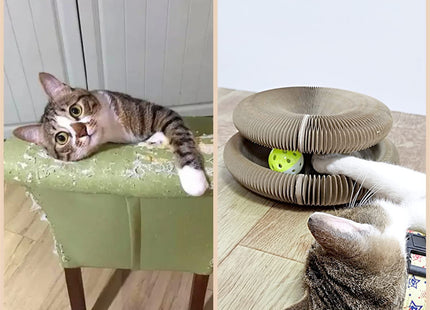 Rascador Para Gatos Deformable