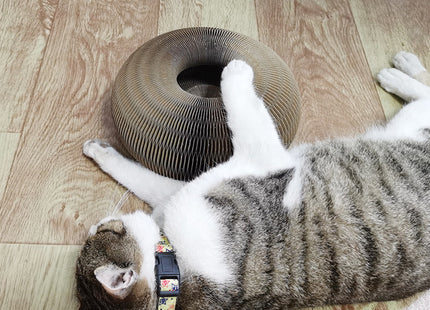 Rascador Para Gatos Deformable