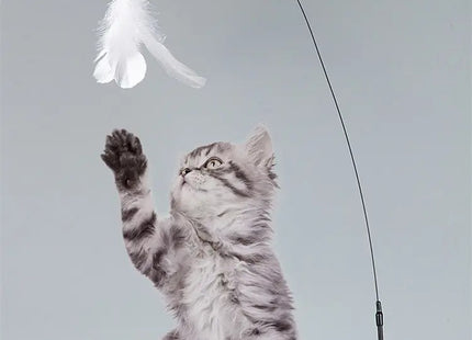Juguete Interactivo Para Gato Con Plumas Y Ventosa