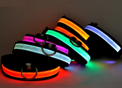 Collar LED Recargable Por USB