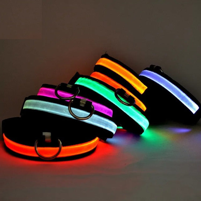 Collar LED Recargable Por USB