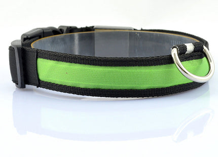 Collar LED Recargable Por USB