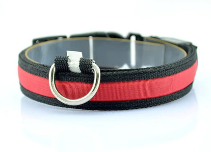 Collar LED Recargable Por USB