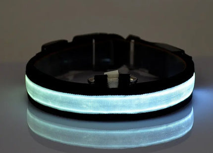 Collar LED Recargable Por USB