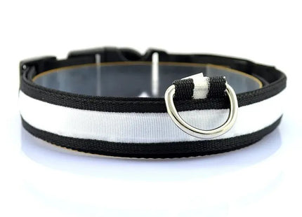 Collar LED Recargable Por USB