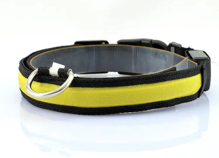 Collar LED Recargable Por USB