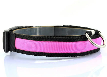 Collar LED Recargable Por USB