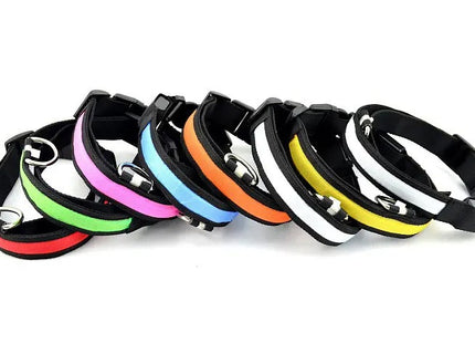 Collar LED Recargable Por USB