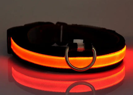 Collar LED Recargable Por USB