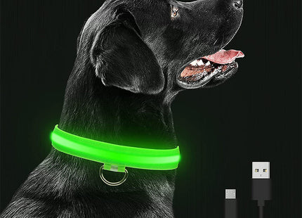 Collar LED Recargable Por USB