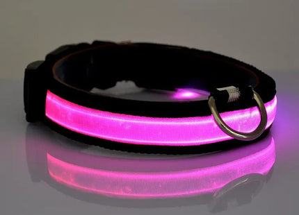 Collar LED Recargable Por USB