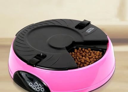 Comedero Automatico Programable Para Mascotas