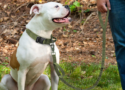 Collar Táctico De Entrenamiento Para Perro