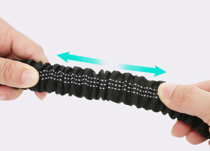 Correa Elástica Extensible Para Perro 120-180 Cm