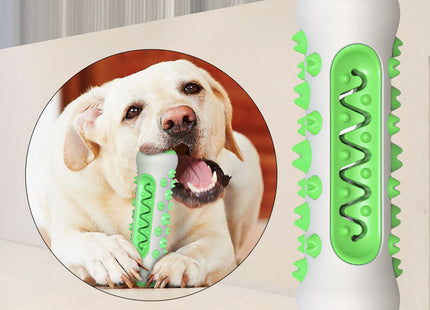Juguete Dental Cepillo Dientes Hueso Dispensador