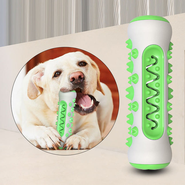 Juguete Dental Cepillo Dientes Hueso Dispensador
