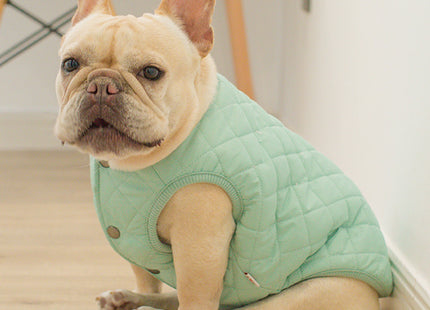 Buzo Chaleco Con Botones Para Perro