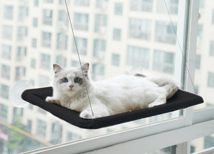 Cucha Cama Gato Aérea Mascotas Para Ventana Ventosa Cómoda