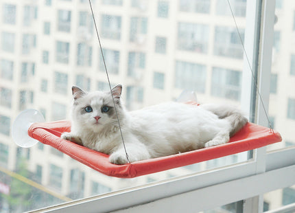 Cucha Cama Gato Aérea Mascotas Para Ventana Ventosa Cómoda