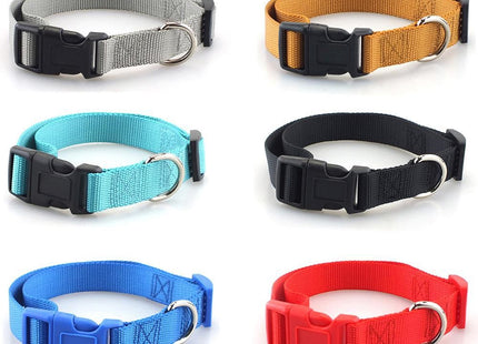 Collar simple con broche para perro o gato