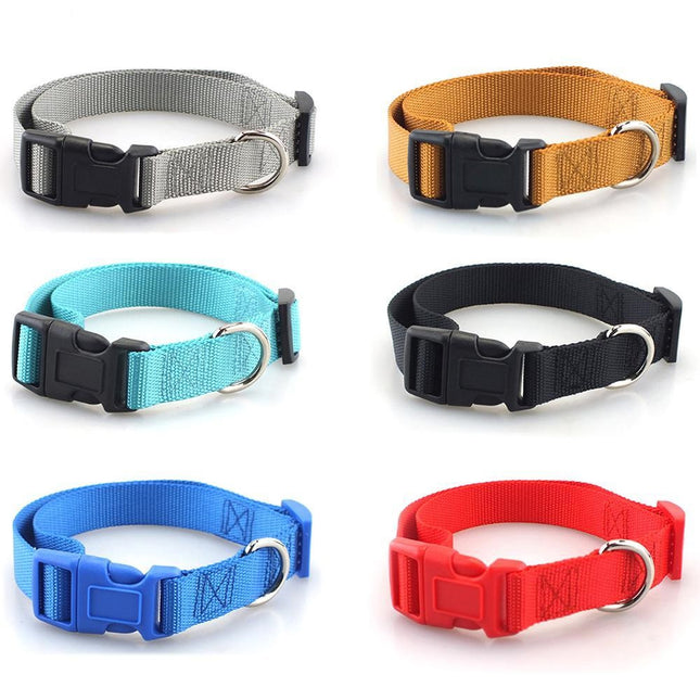 Collar simple con broche para perro o gato
