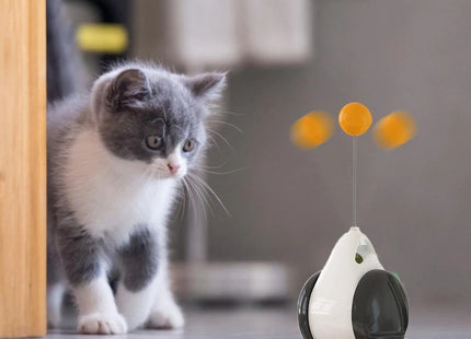 Juguete interactivo rueda para gato