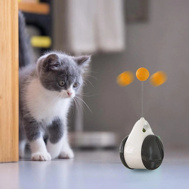 Juguete interactivo rueda para gato