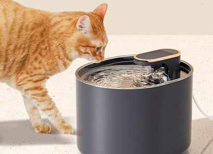 Fuente Bebedero Automático 3 litros Para Mascotas