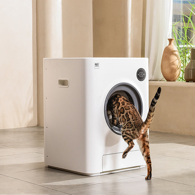 Baño Automático Para Gatos