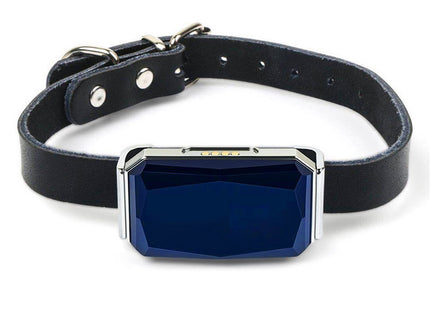 Collar Con Rastreador Gps Para Mascotas