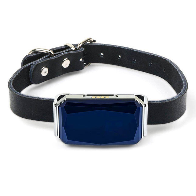 Collar Con Rastreador Gps Para Mascotas