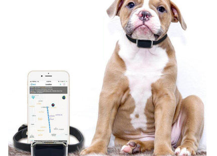 Collar Con Rastreador Gps Para Mascotas