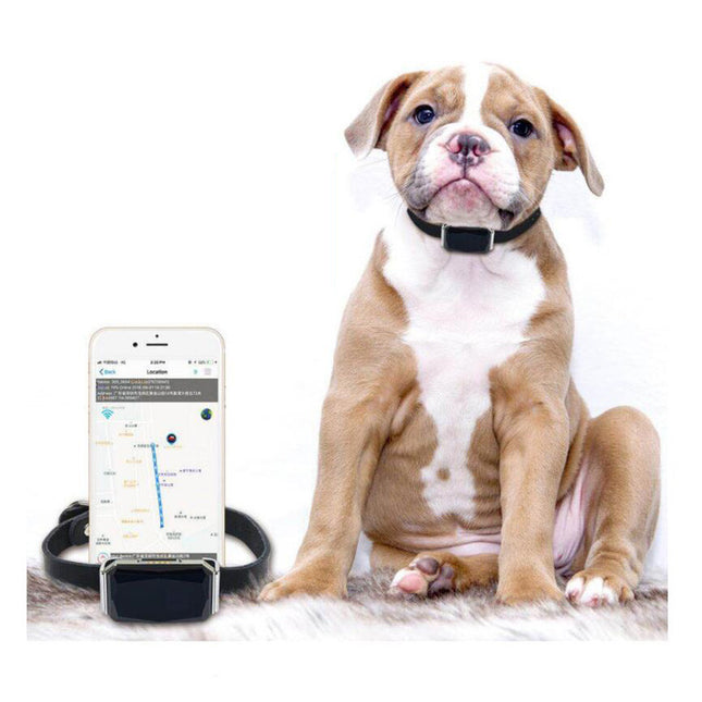 Collar Con Rastreador Gps Para Mascotas
