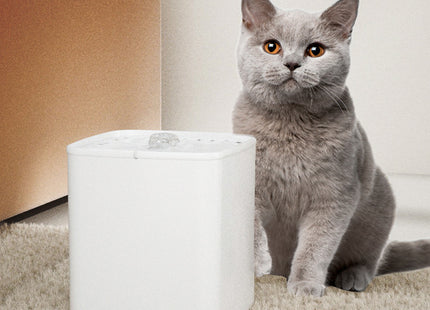Fuente Automática 3 litros Para Mascotas