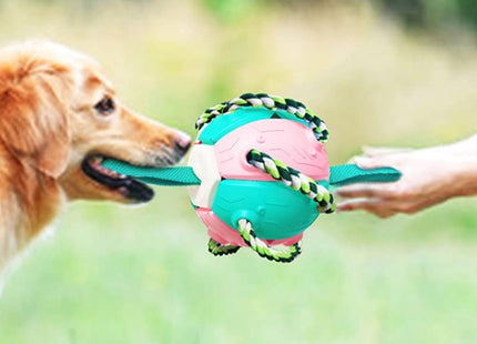 Juguete Para Perro 2 en 1 - Pelota y Frisbee