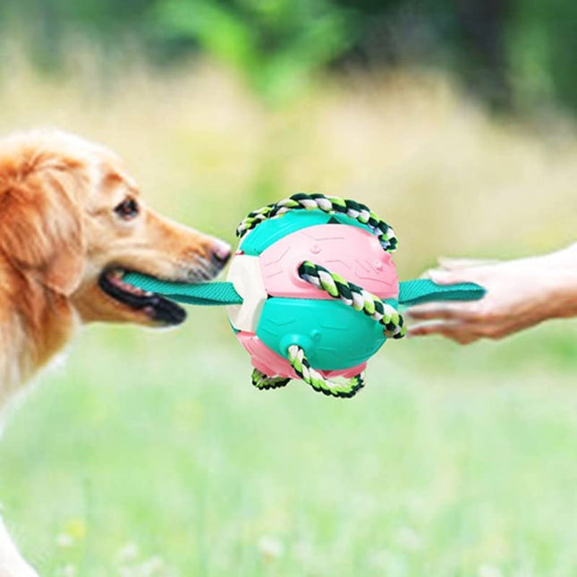 Juguete Para Perro 2 en 1 - Pelota y Frisbee