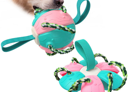 Juguete Para Perro 2 en 1 - Pelota y Frisbee