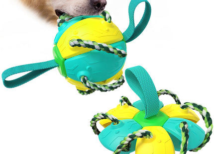 Juguete Para Perro 2 en 1 - Pelota y Frisbee