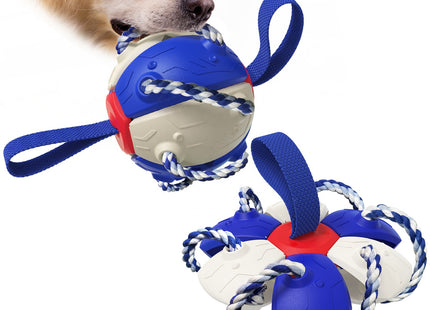 Juguete Para Perro 2 en 1 - Pelota y Frisbee