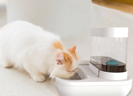 Plato Comedero Con Dispensador De Agua