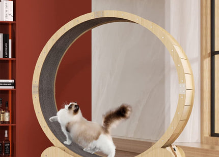 Rueda Gigante Para Gato
