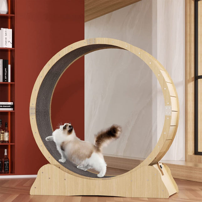 Rueda Gigante Para Gato