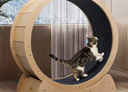Rueda Gigante Para Gato