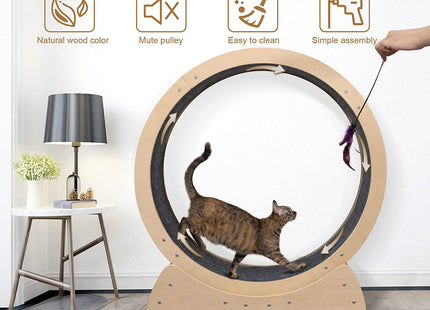Rueda Gigante Para Gato