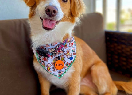 Chapita Identificatoria Redonda De Silicona Para Mascotas