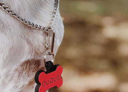 Chapita Identificatoria Hueso De Silicona Para Mascotas